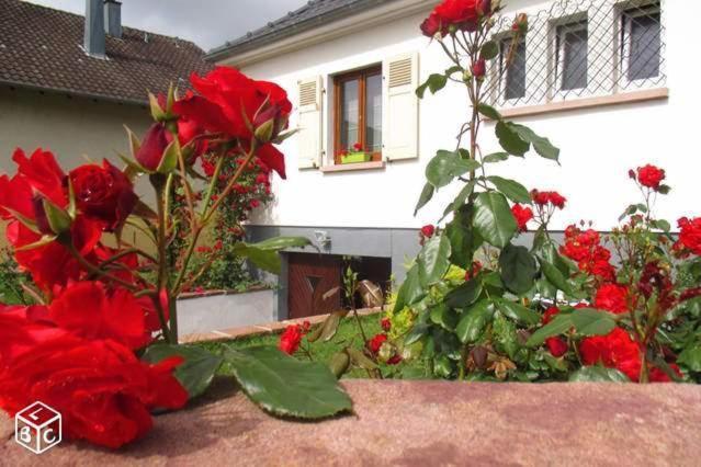Colmar Room,Chambre Privee Chez L'Habitant,Parking Voiture Devant La Maison,Garage Moto Et Velo מראה חיצוני תמונה