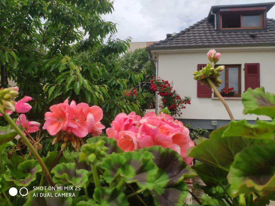 Colmar Room,Chambre Privee Chez L'Habitant,Parking Voiture Devant La Maison,Garage Moto Et Velo מראה חיצוני תמונה